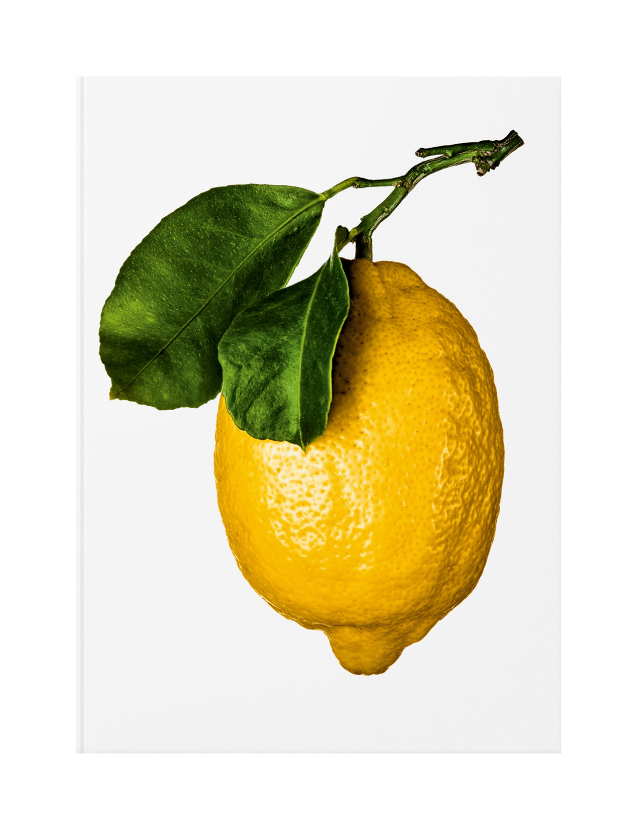 The Gourmand's Lemon. A Collection of Stories and Recipes