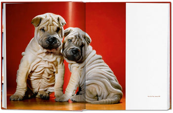 Dogs. Walter Chandoha. Photographs 1941–1991