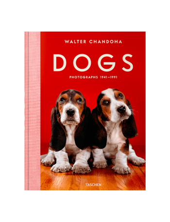 Dogs. Walter Chandoha. Photographs 1941–1991